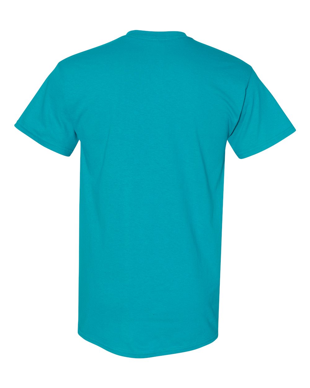 Rear View of Tropical Blue Heavy Cotton™ T-Shirt - 5000