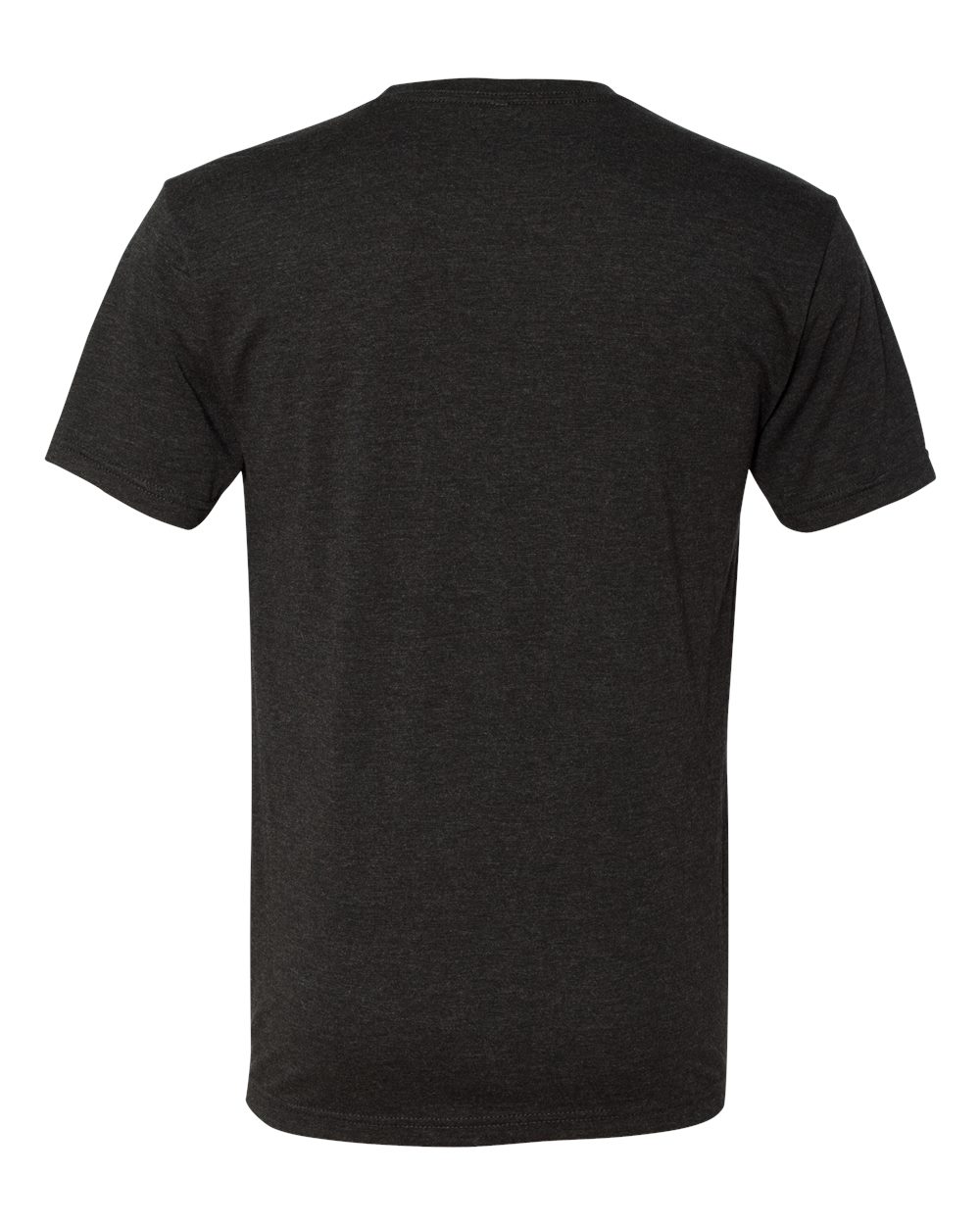 Rear View of Vintage Black Triblend T-Shirt - 6010