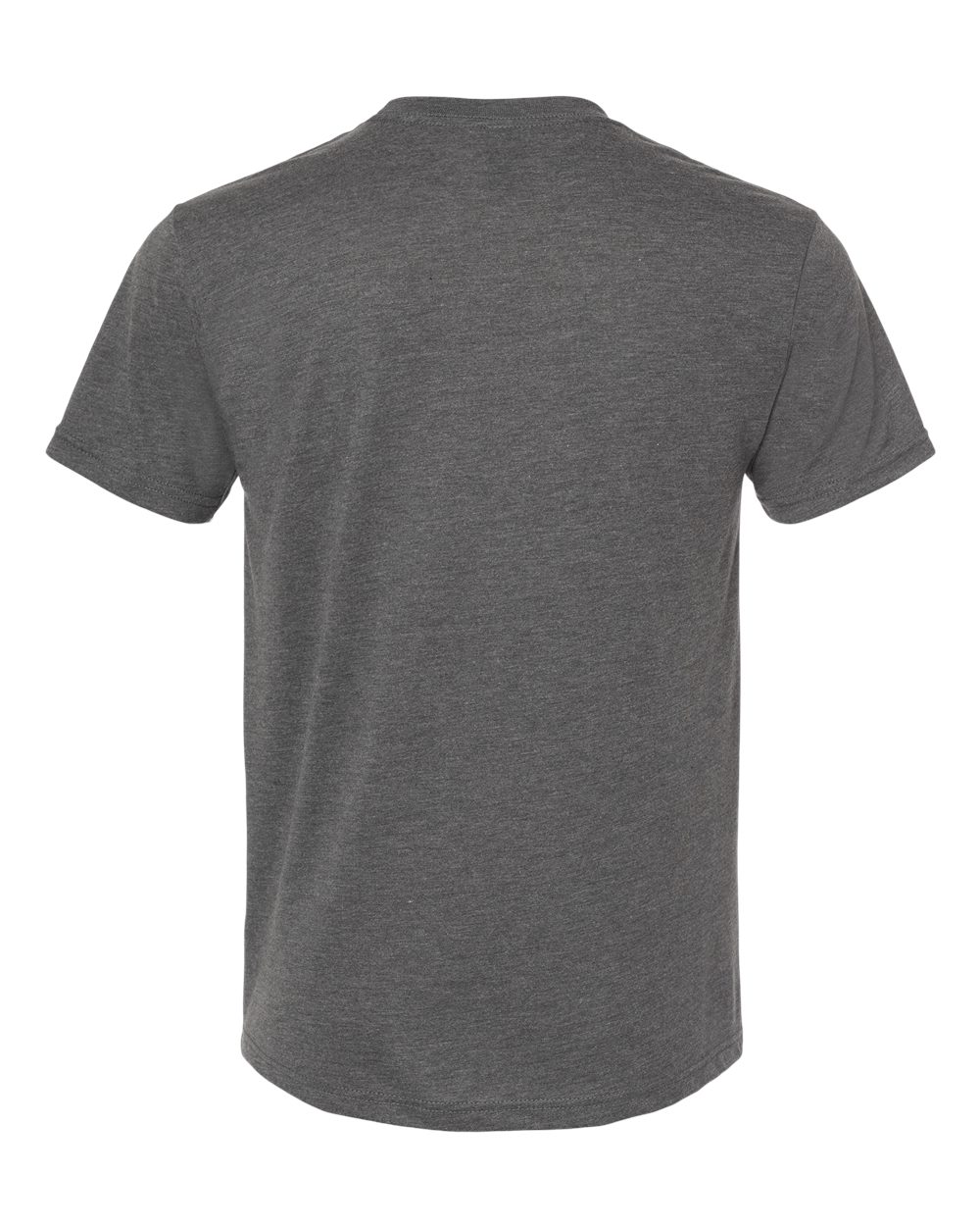 Rear View of Vintage Heavy Metal Triblend T-Shirt - 6010