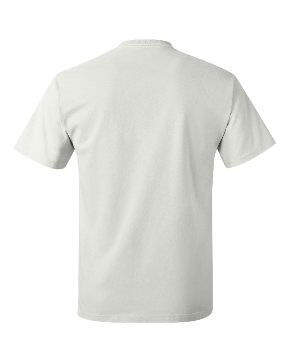Rear View of White Authentic T-Shirt - 5250