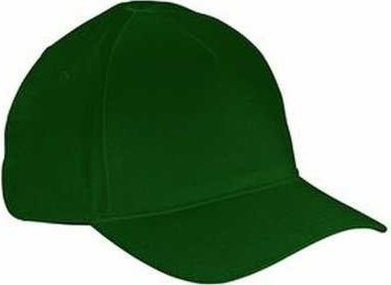 Big Accessories BX034 5-Panel Brushed Twill Cap - Forest - HIT a Double