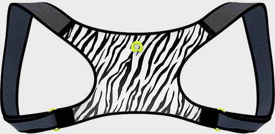 PostureCue Posture Enhancer