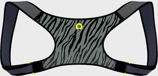 PostureCue Posture Enhancer