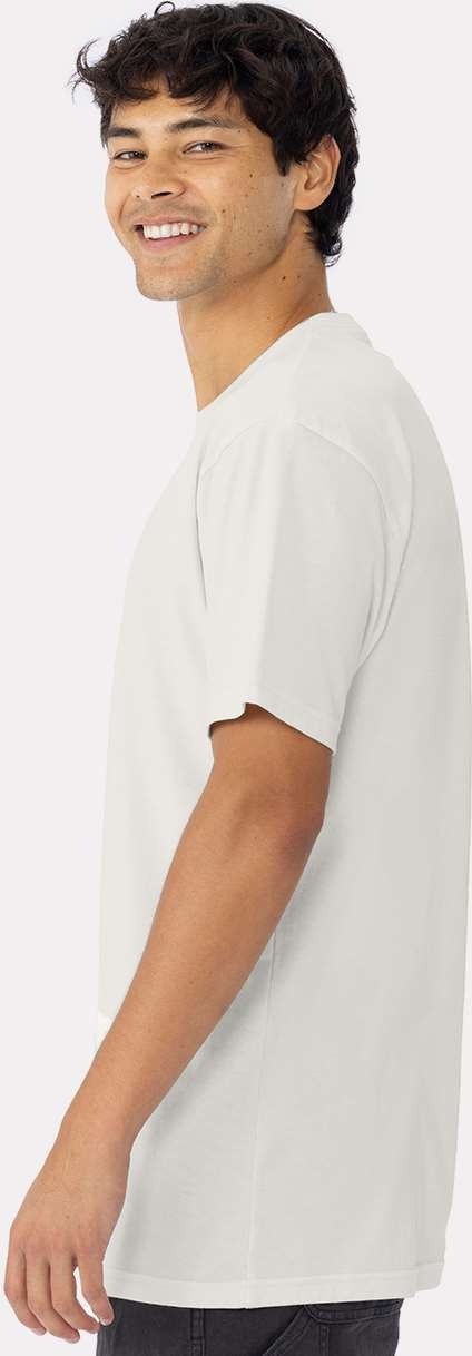 Next Level 3600 Cotton T-Shirt - Bone