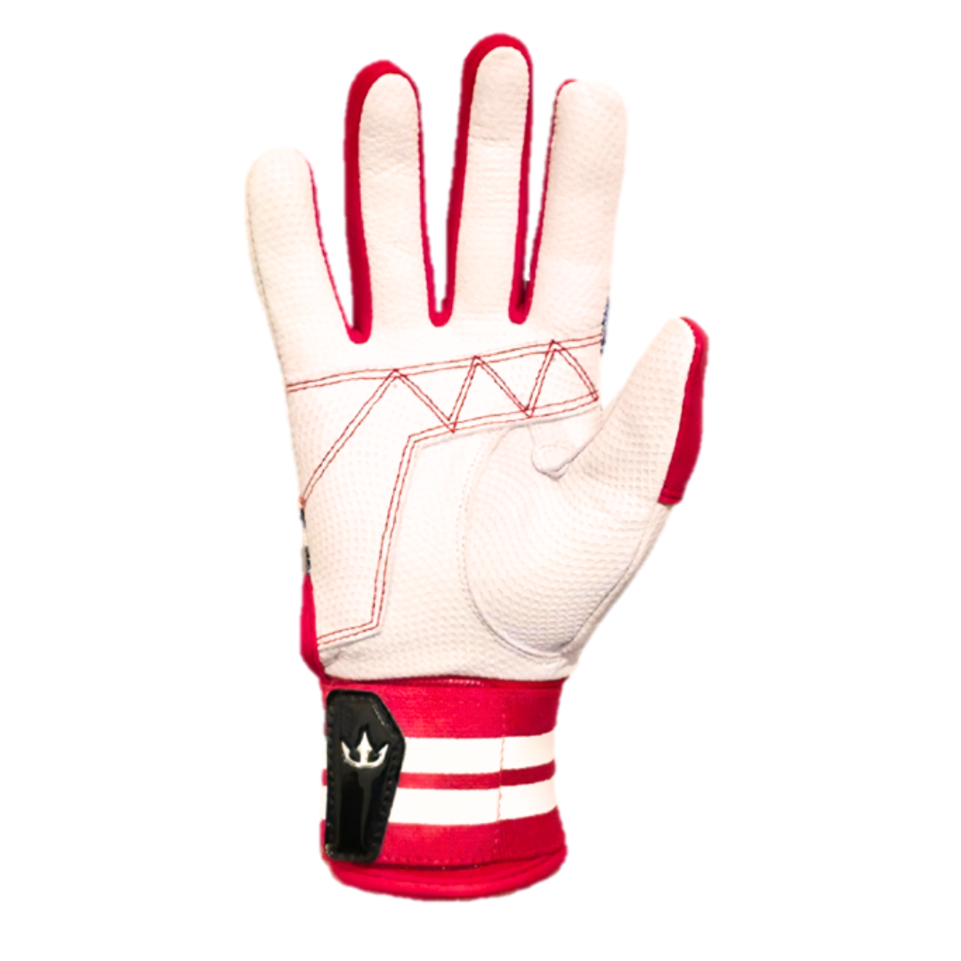Dynasty The Bomb Squad Batting Gloves Series - American Flag USA