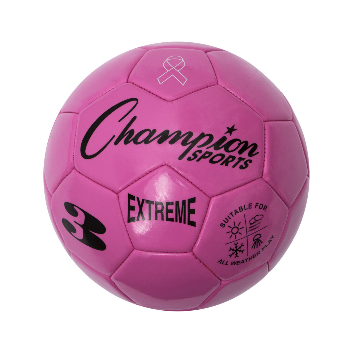 Champion Sports EX3 Extreme Soccer Ball Size 3 - Ea