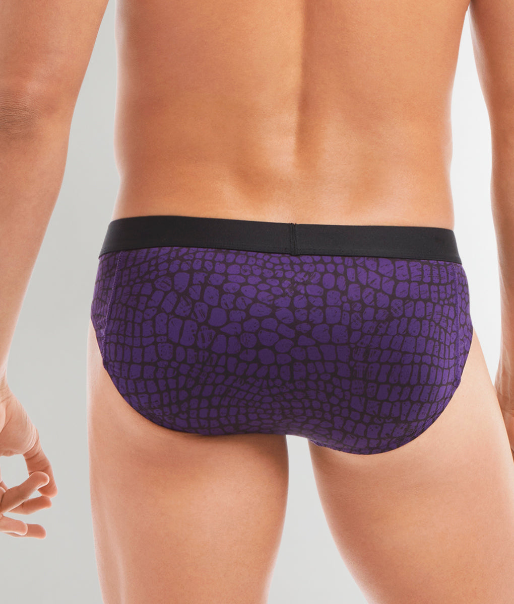 2(x)ist Sliq Brief