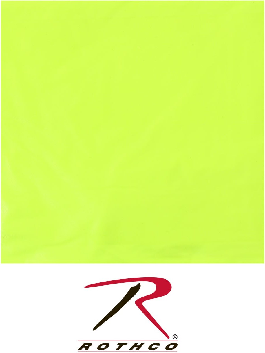 238381100.jpg