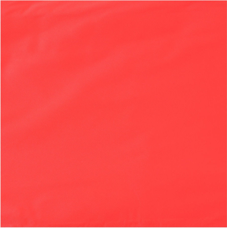 238381154.jpg