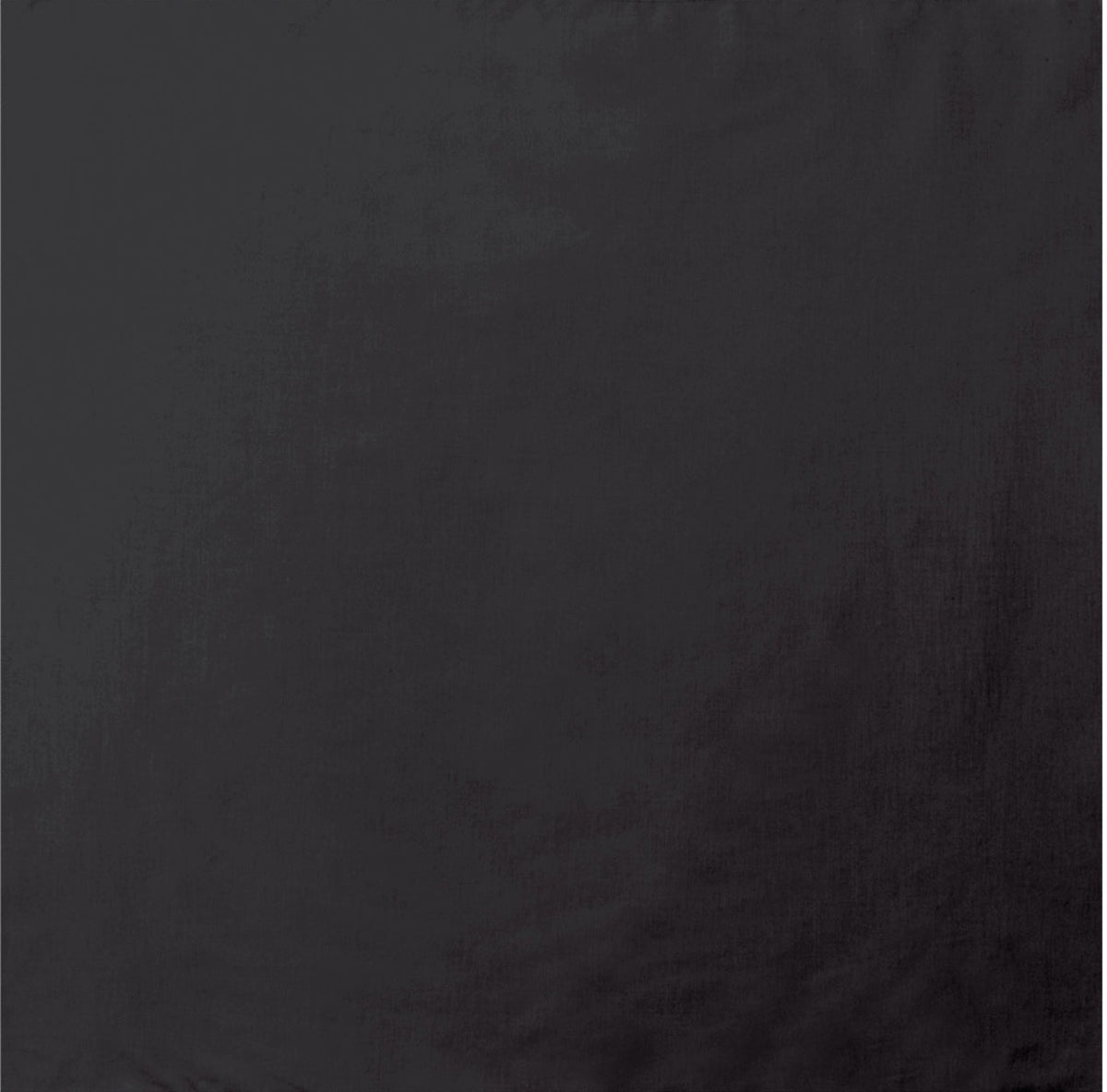 238383277.jpg