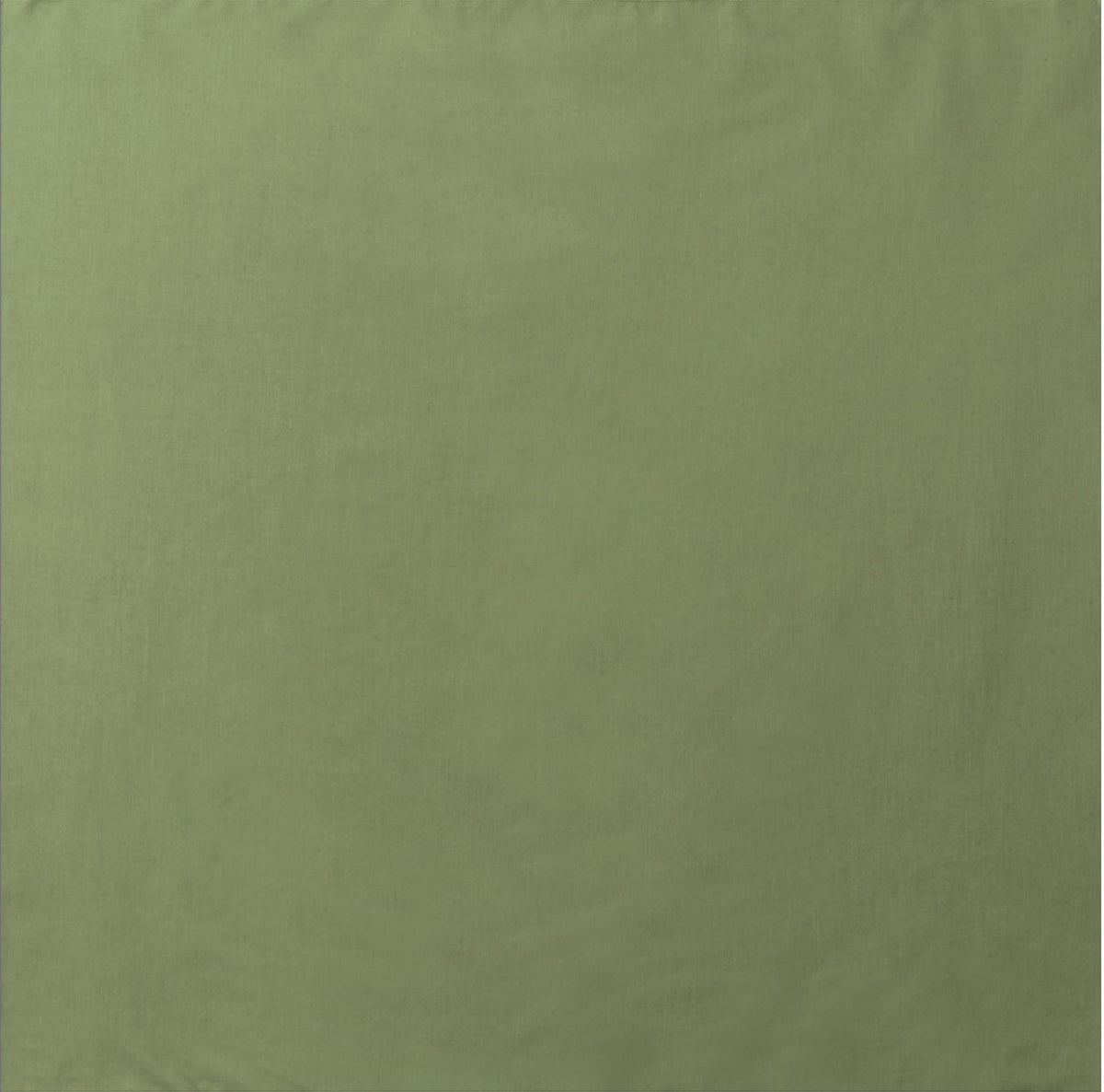 238383283.jpg