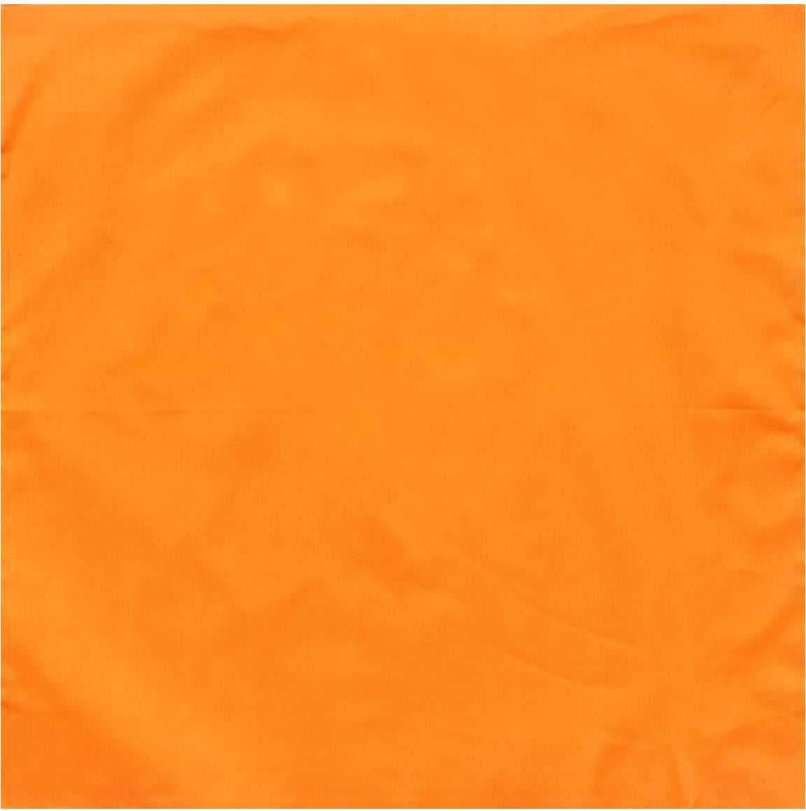 238383285.jpg