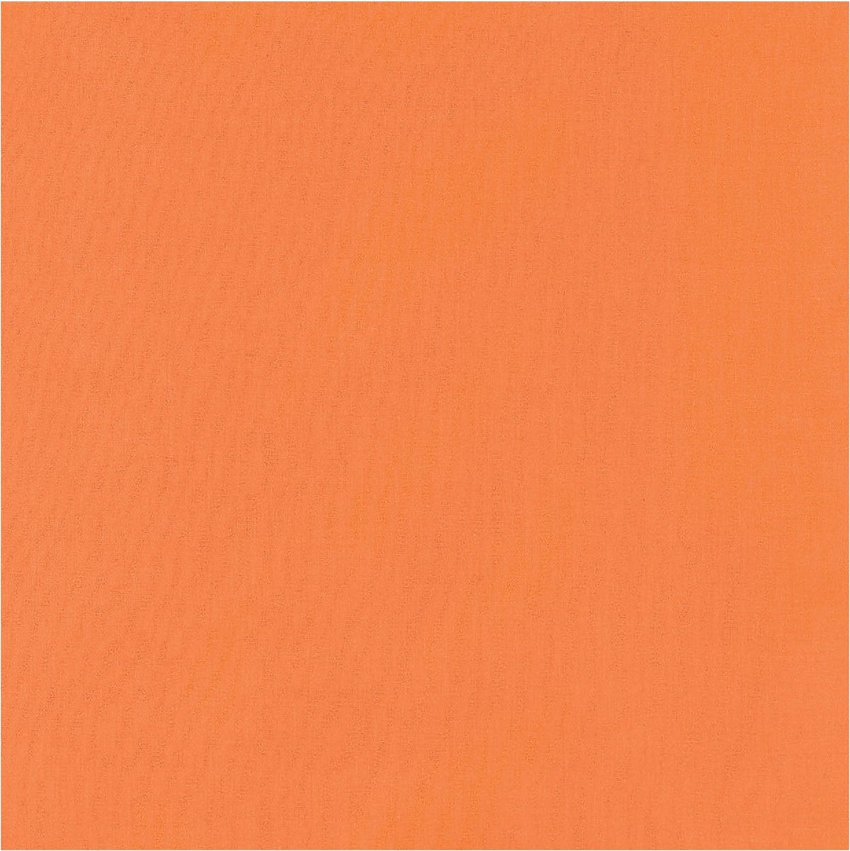 238383299.jpg