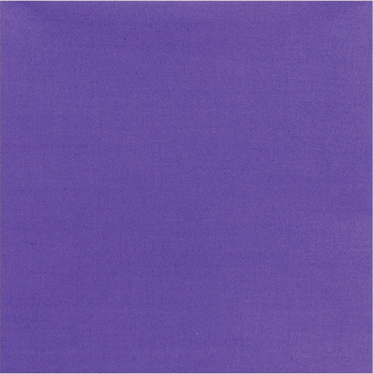 238383304.jpg