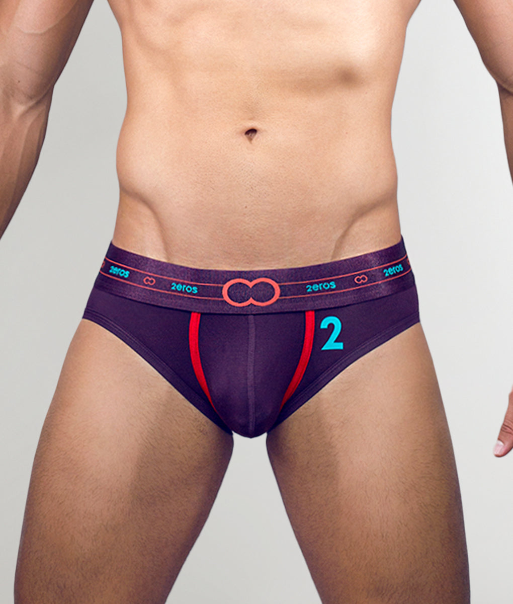 2eros 2 Series Brief