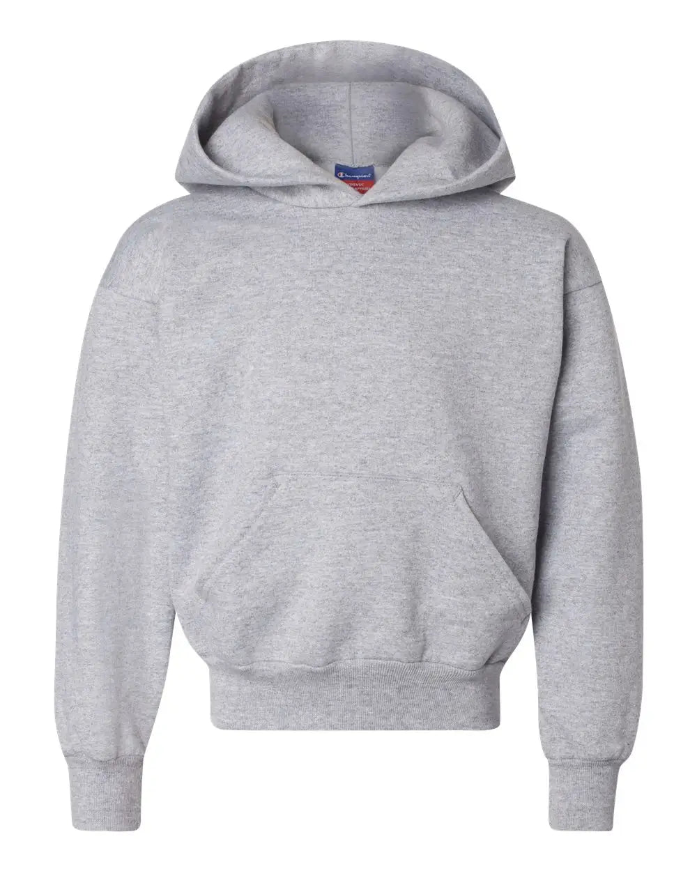 Champion S790 Powerblend® Youth Hooded Sweatshirt - Light Steel - Gray / s