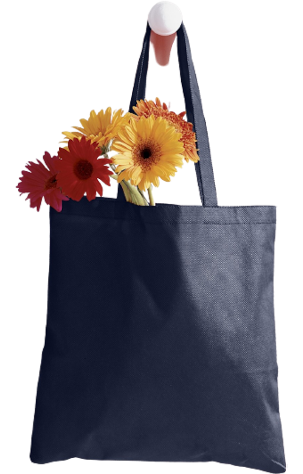BAGedge BE003 Canvas Tote - Navy