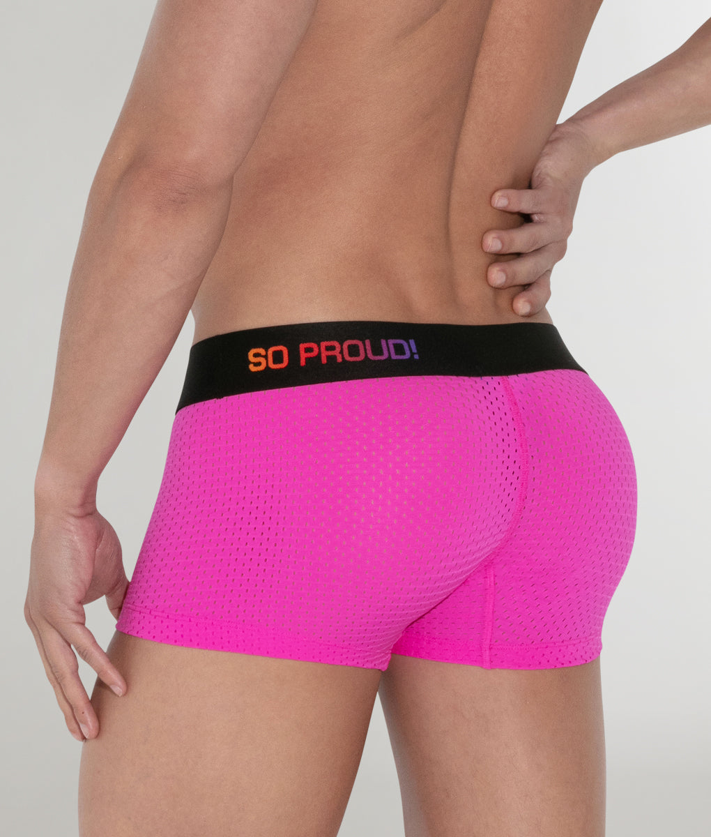 CODE 22 Pride Mesh Trunk