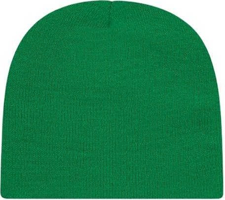 Cap America TKN28 USA-Made 8 12&quot; Beanie - True Kelly Green - HIT a Double - 1