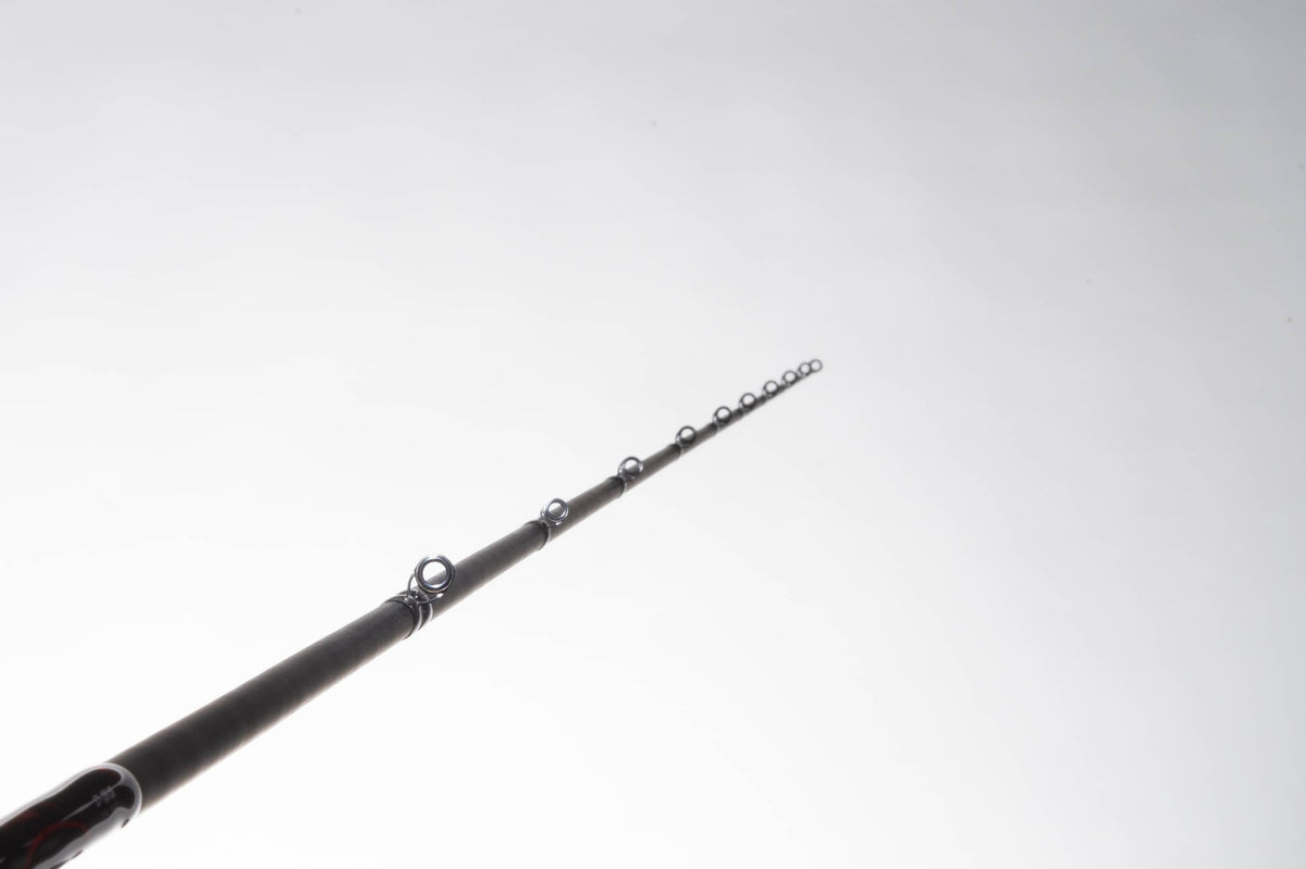 Feel N Reel Fishing Rod
