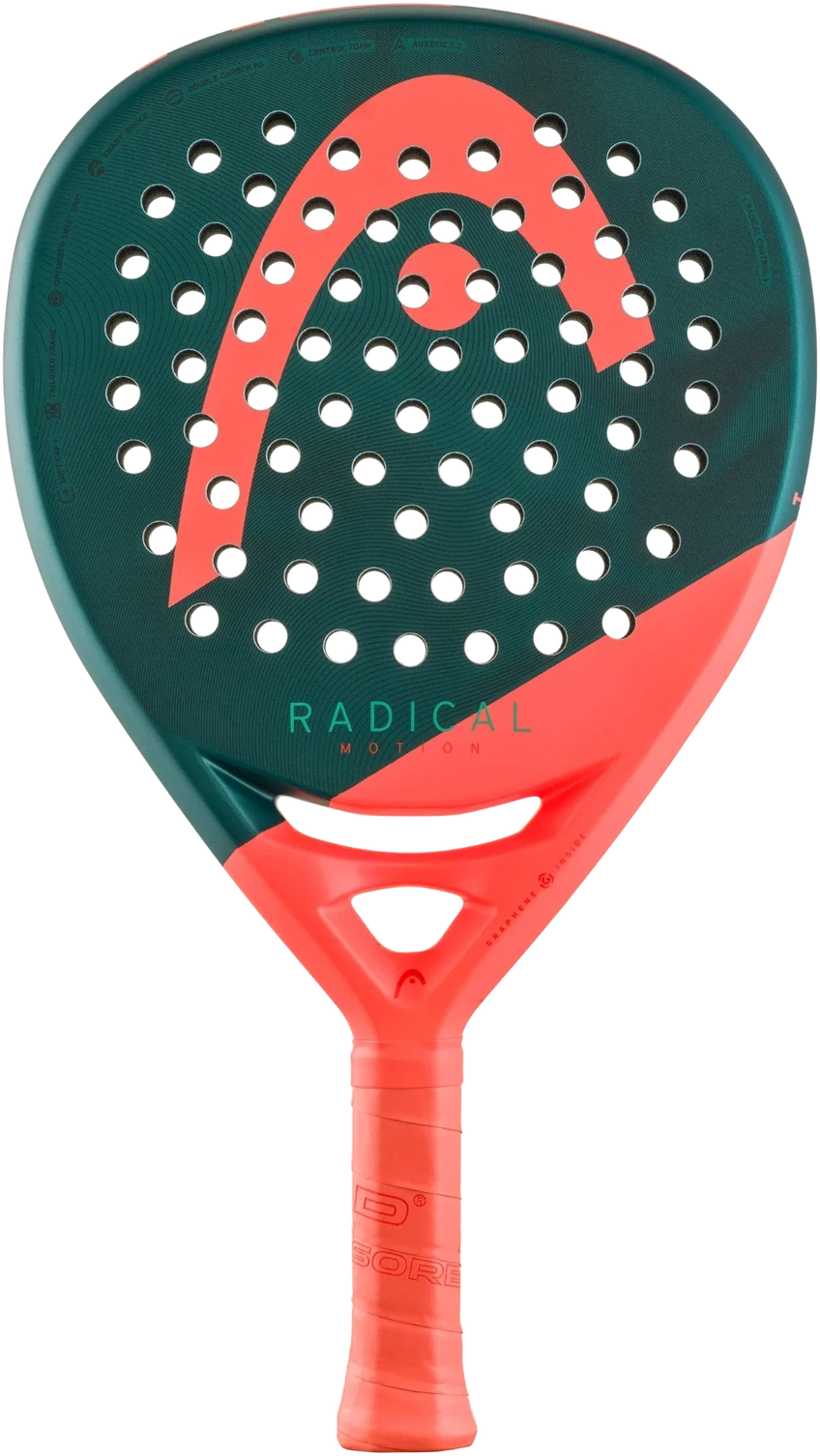 Head Radical Motion 2026