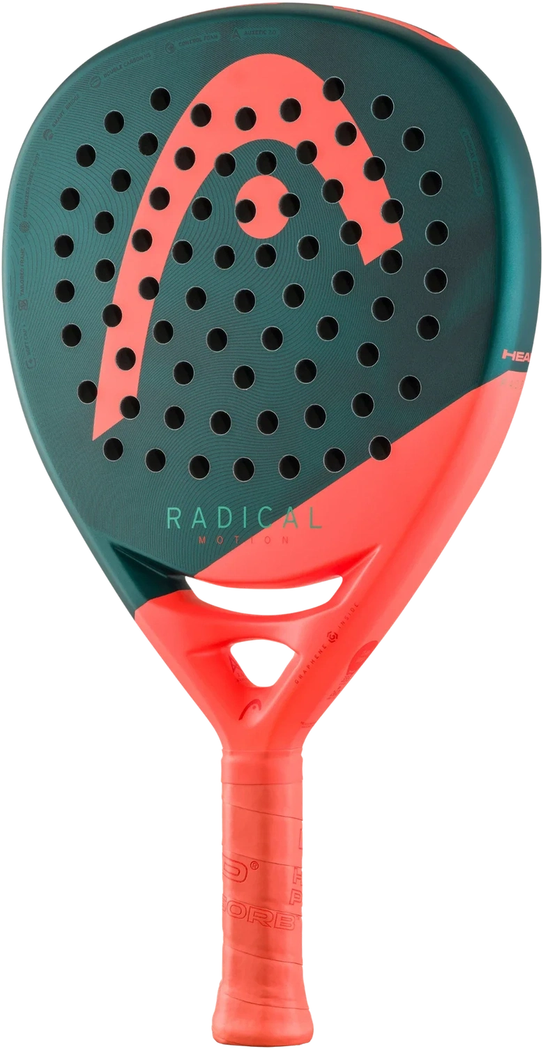 Head Radical Motion 2026