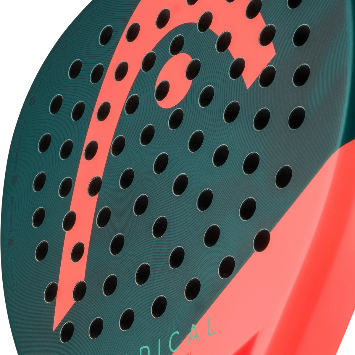 Head Radical Motion 2026