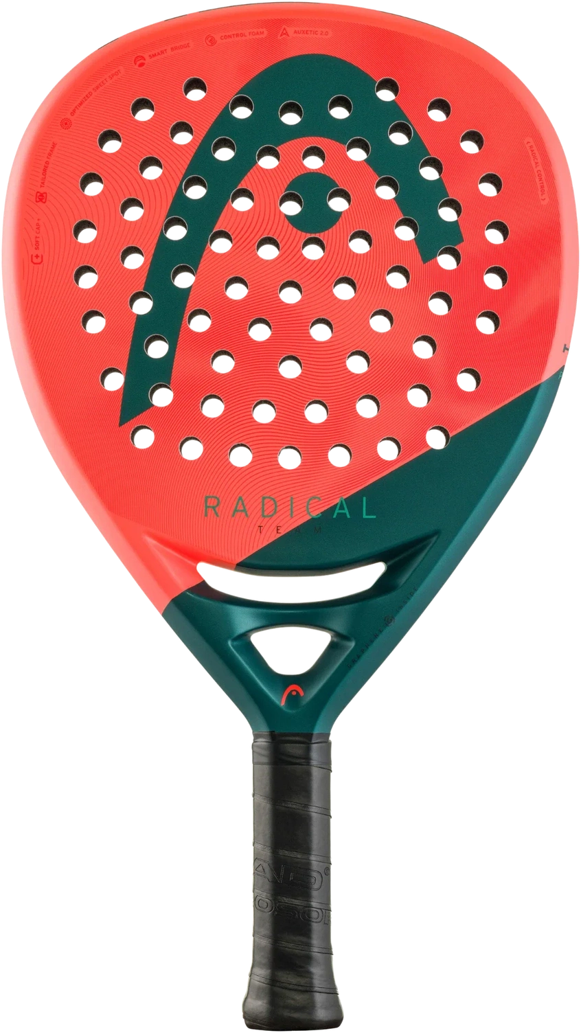 Head Radical Team 2026