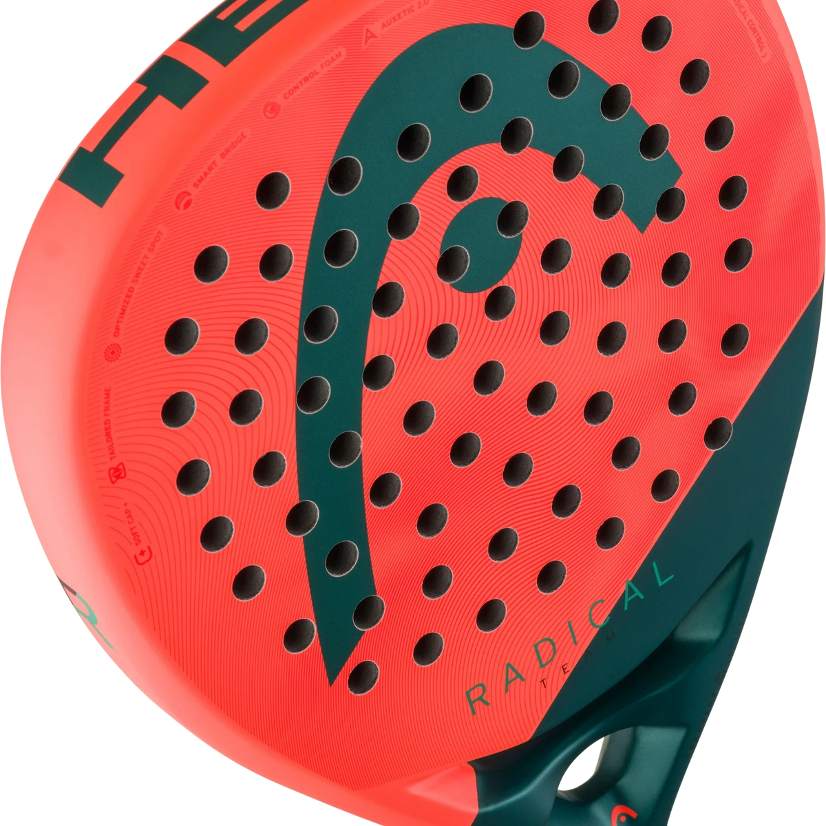 Head Radical Team 2026