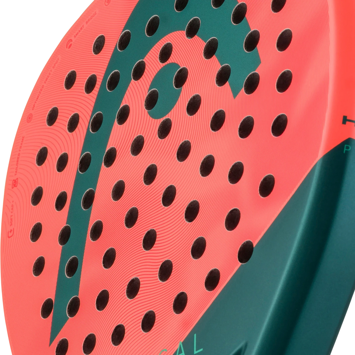 Head Radical Team 2026