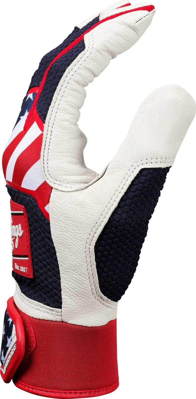 Rawlings 2024 Workhorse Youth Batting Gloves - USA - HIT a Double - 2