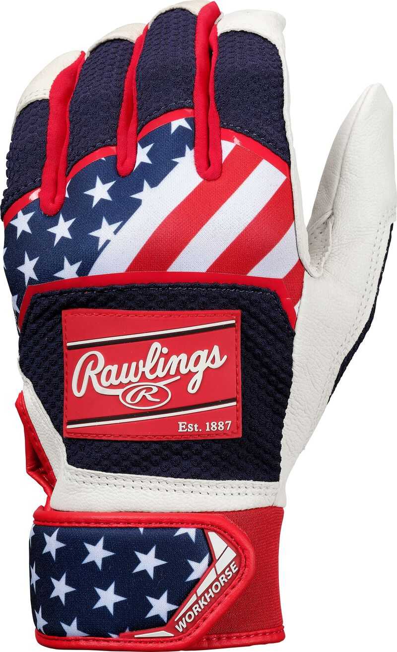 Rawlings 2024 Workhorse Youth Batting Gloves - USA - HIT a Double - 1