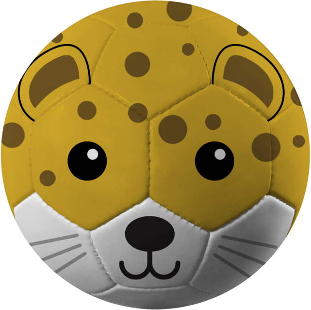 Fun Recreational soccer ball