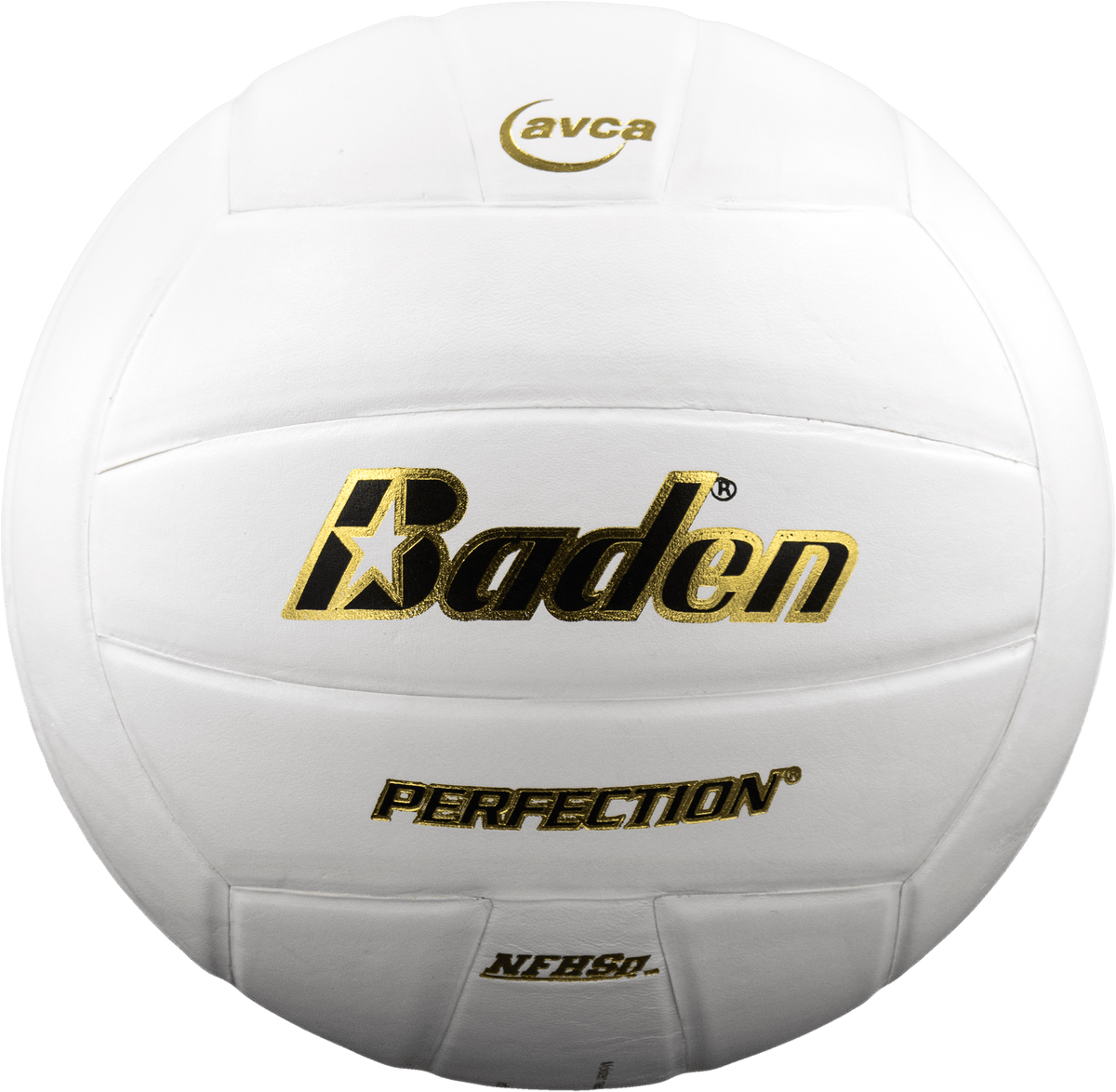 Baden Perfection Leather Volleyball NFHS Stamped