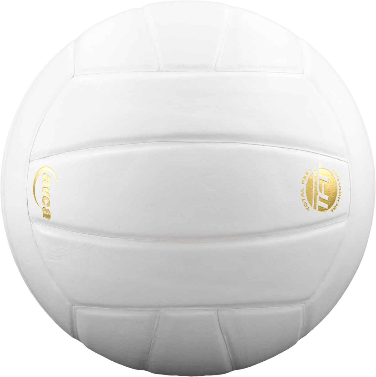 Perfection Leather Volleyball