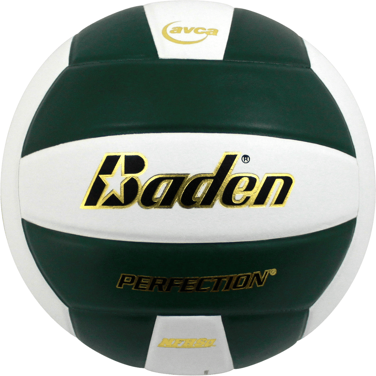 Baden Perfection Leather Volleyball NFHS Stamped