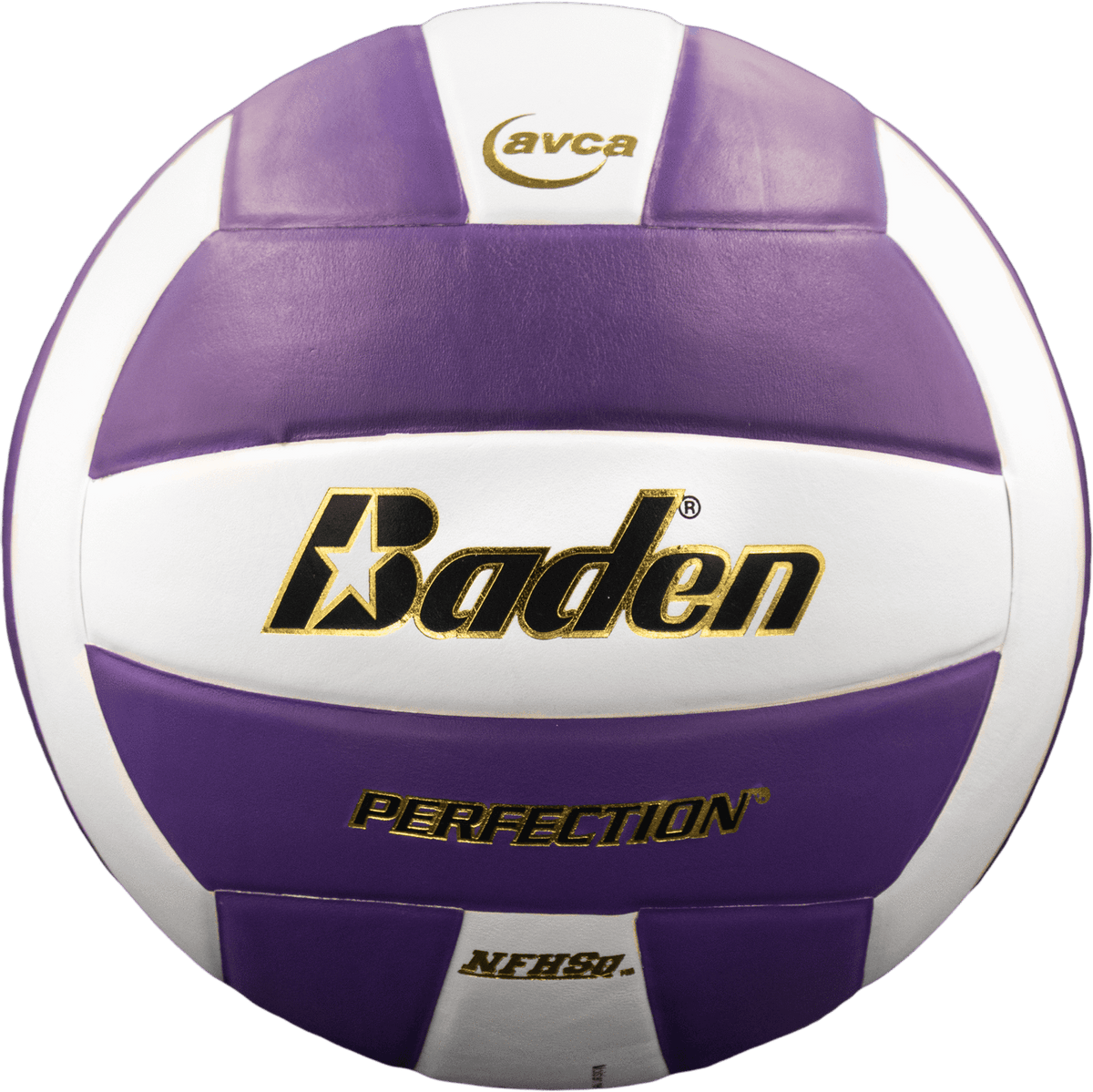 Baden Perfection Leather Volleyball NFHS Stamped