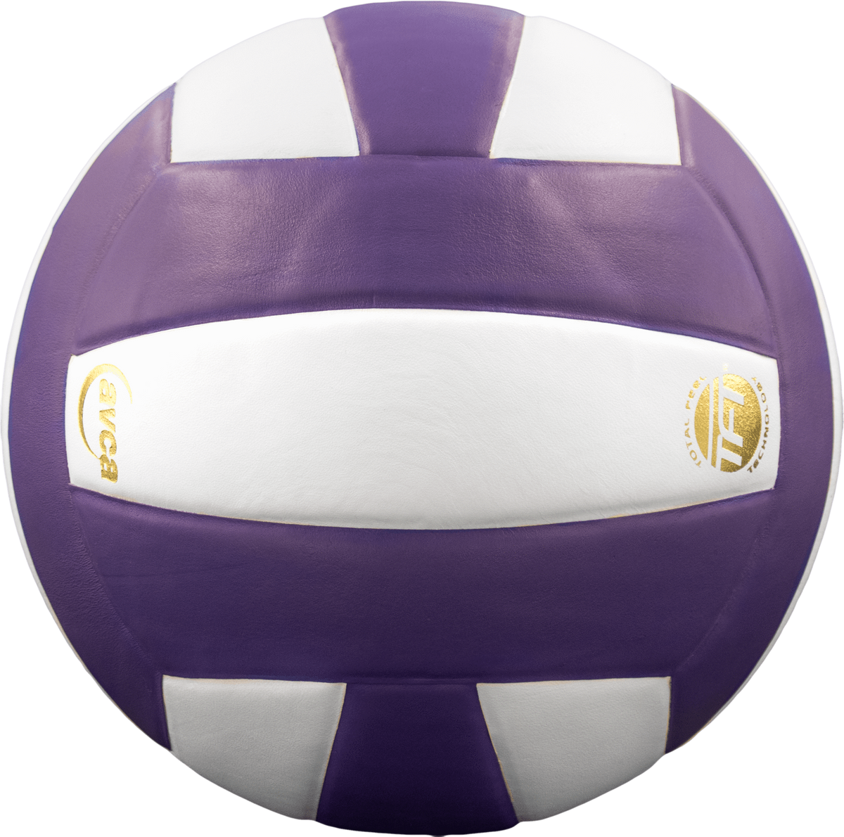Perfection Leather Volleyball