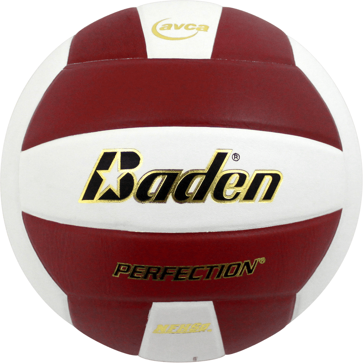 Baden Perfection Leather Volleyball NFHS Stamped