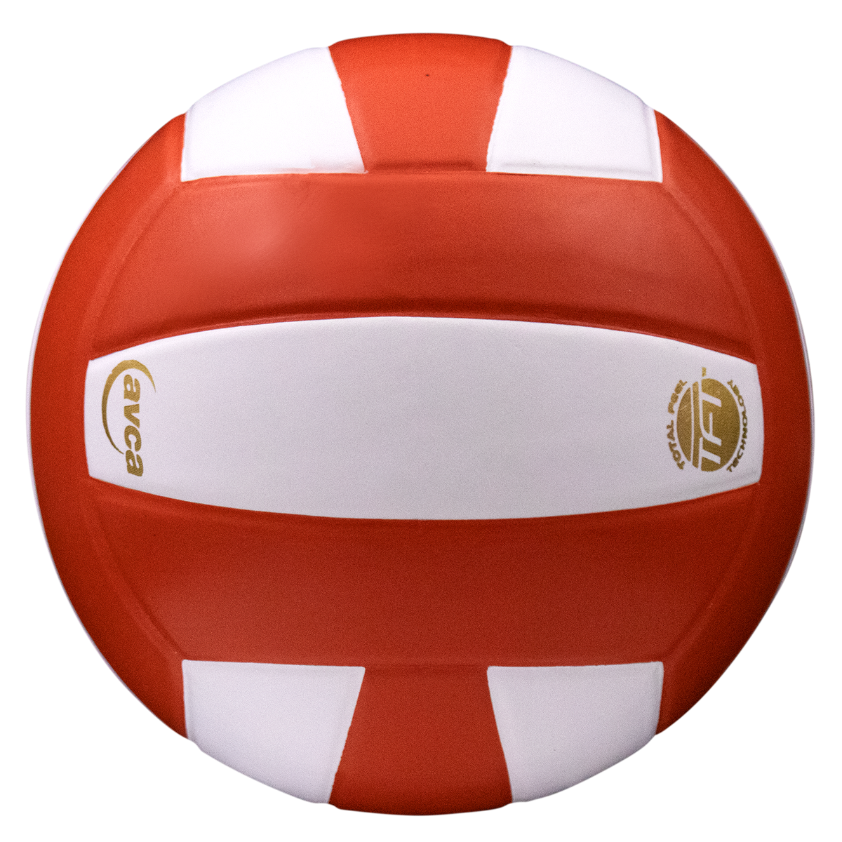 Perfection Leather Volleyball