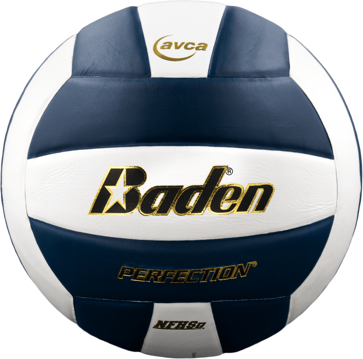 Baden Perfection Leather Volleyball NFHS Stamped