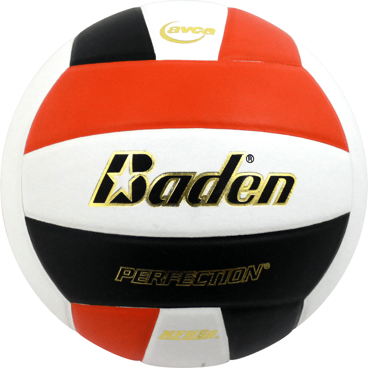 Baden Perfection Leather Volleyball NFHS Stamped