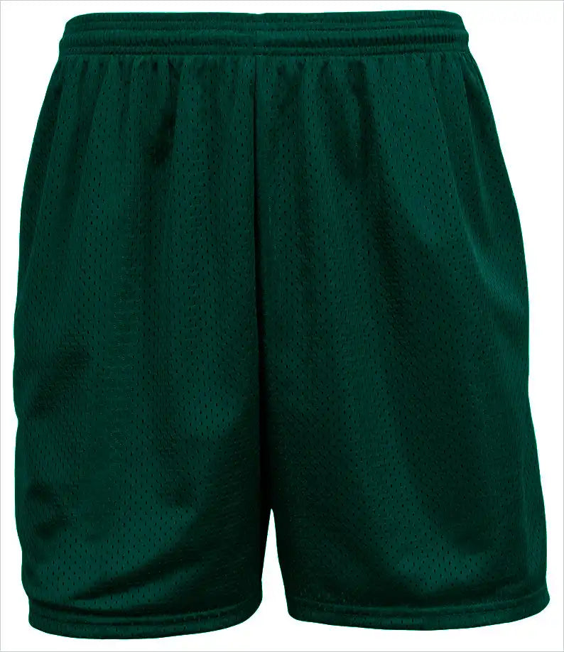 A4 Nb5294 Sprint 4’’ Lined Tricot Mesh Shorts - Forest - Youth Xs