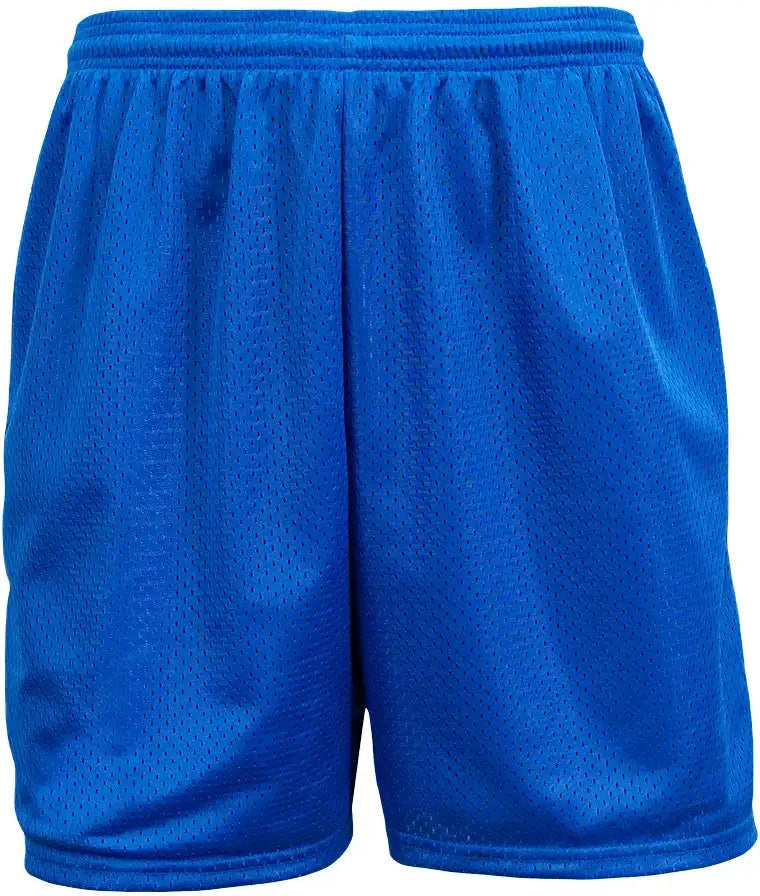 A4 Nb5294 Sprint 4’’ Lined Tricot Mesh Shorts - Royal - Youth Xs