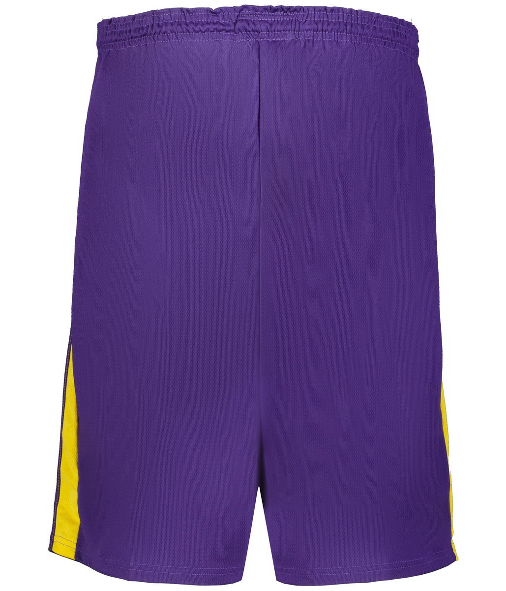 Alleson Athletic A205ly Nba Youth Logoed Shorts - Los Angeles Lakers