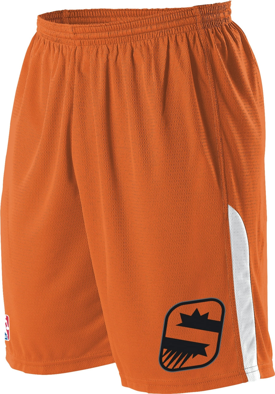 Alleson Athletic A205ly Nba Youth Logoed Shorts - Phoenix Suns