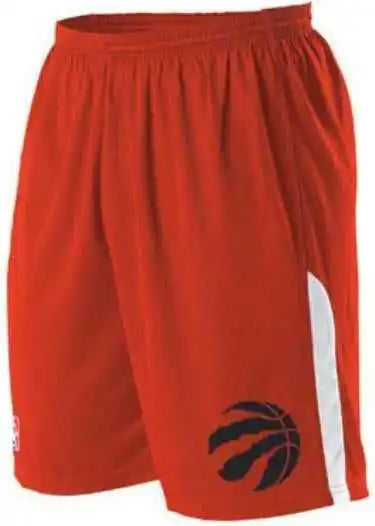 Alleson Athletic A205ly Youth Nba Logo Game Short - Toronto Raptors