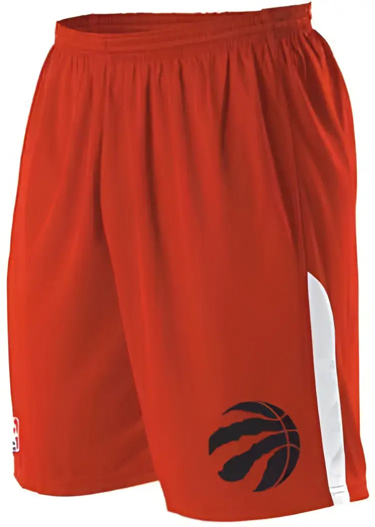 Alleson Athletic A205ly Youth Nba Logo Game Short - Toronto Raptors