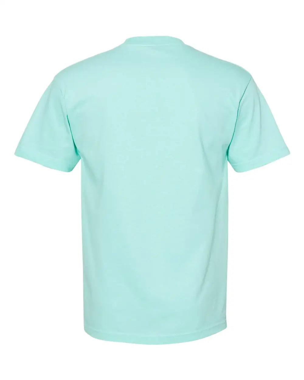 American Apparel 1301 Heavyweight Cotton Tee - Celadon - Blue / s
