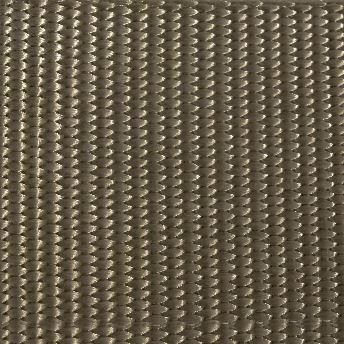 Ar 670-1 Compliant Military Riggers Belt